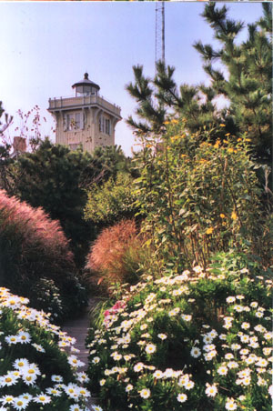 Lighthouse from gardens