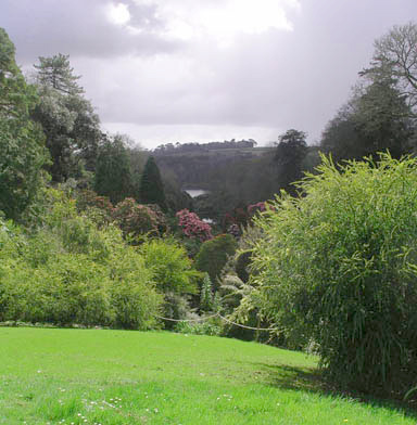 Trebah Valley